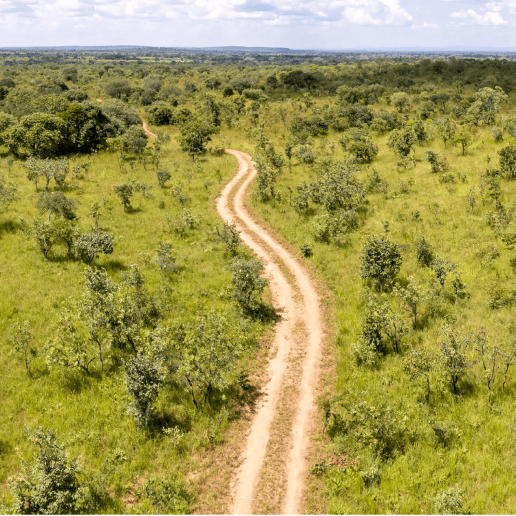 Acres Club Jeff Bordes Project