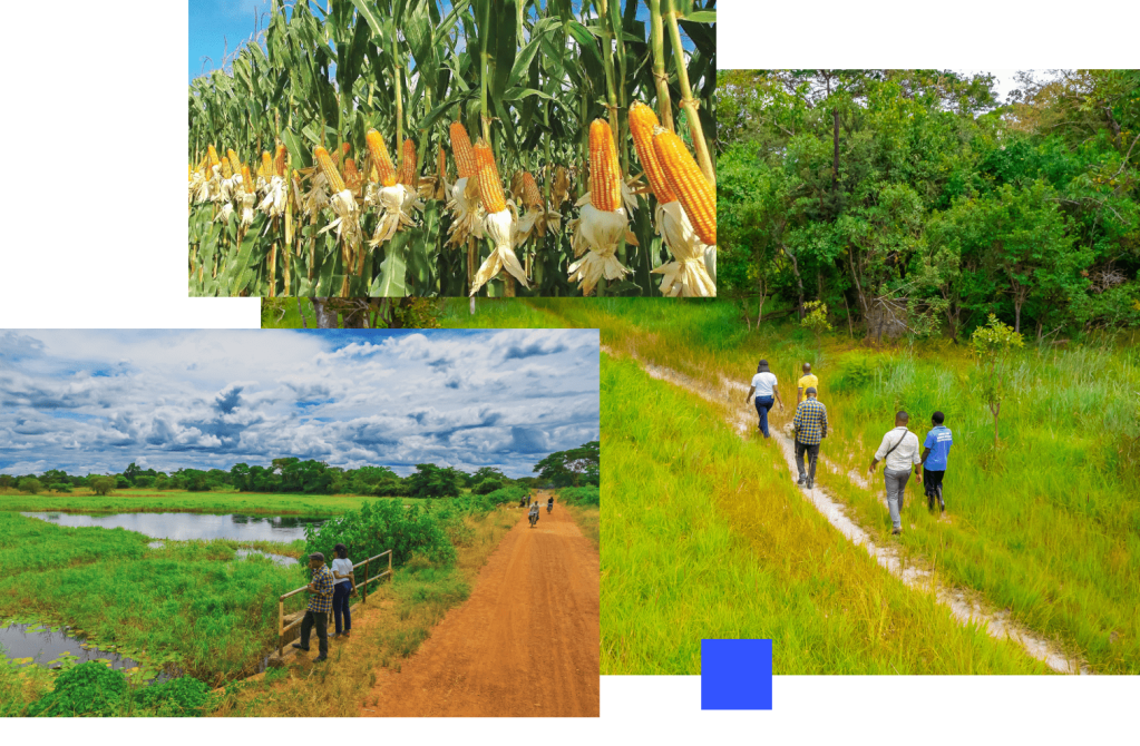 DR Jeff Bordes projects